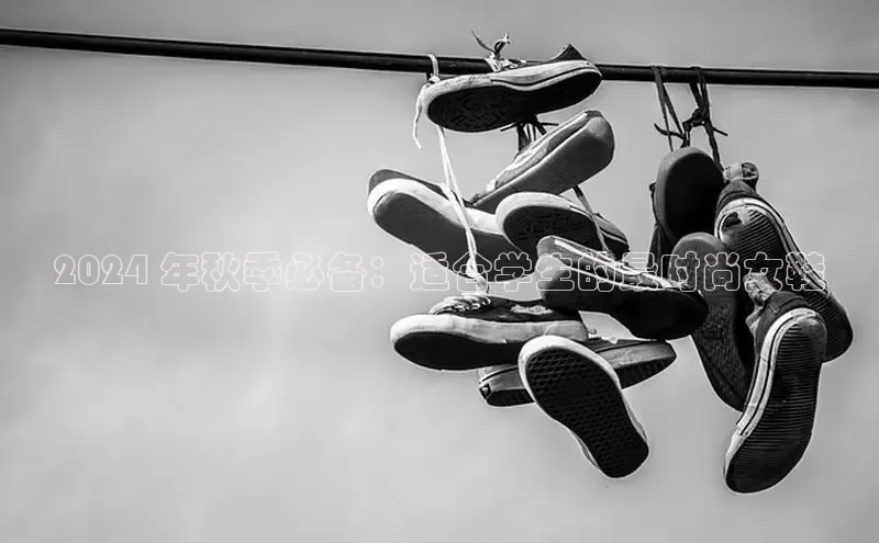 球速体育welcomeARGA公司2024 年秋季必备：适合学生的最时尚女鞋