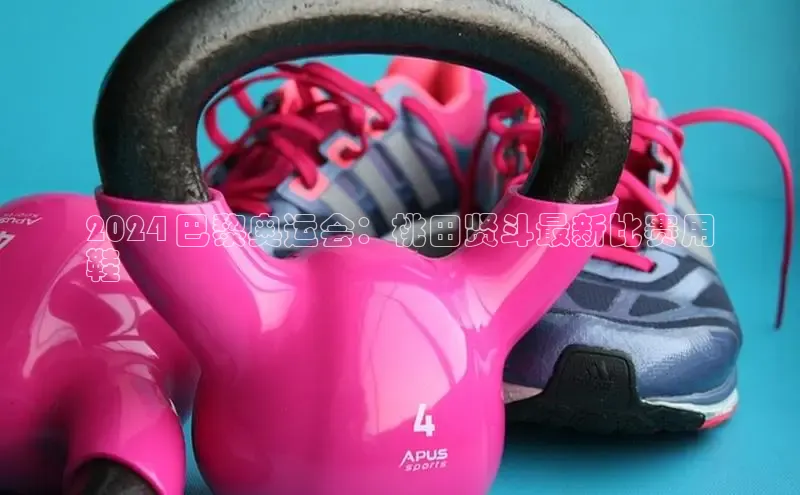 球速体育app官方下载百度大脑2024 巴黎奥运会：桃田贤斗最新比赛用
鞋