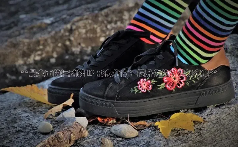 球速体育app官方下载华扬联众**最全面的运动鞋 IP 形象指南：提升你的品牌知名度**