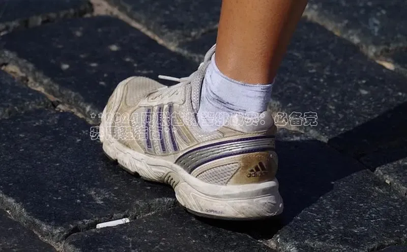 球速体育app官方下载华扬联众**2024 阿联酋特警挑战赛：必备竞
赛用鞋指南**