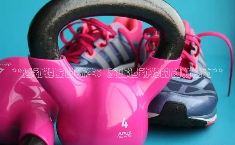 球速体育网页版登陆入口小度商城**运动鞋匠的新生：废止运动鞋的创新魅力**