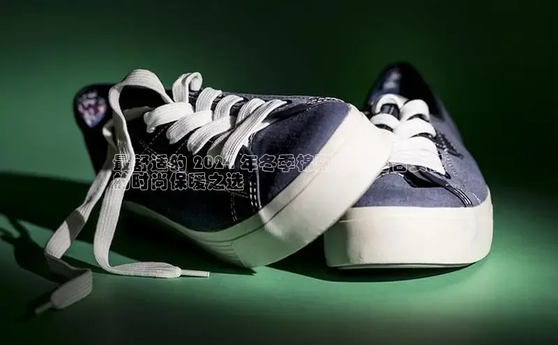 球速体育app下载官方阿里尔公司最舒适的 2024 年冬季棉瓢鞋：适合女性
的时尚保暖之选