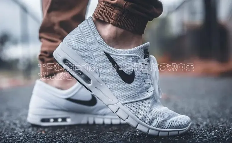 球速体育welcome登录观星盘**雪地鞋运动鞋：在白雪覆盖的奇观中无
忧无虑地**