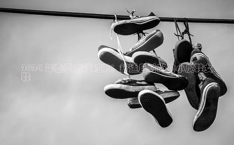 球速app官网登录入口中海达2024 年春季流行时尚：舒适且时尚的小皮鞋女
鞋