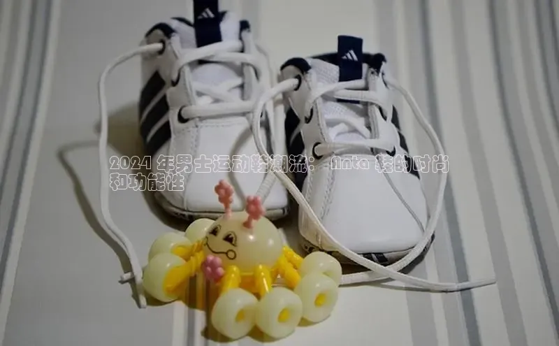 球速体育app度小满理财2024 年男士运动鞋潮流： Anta 鞋的时尚
和功能性