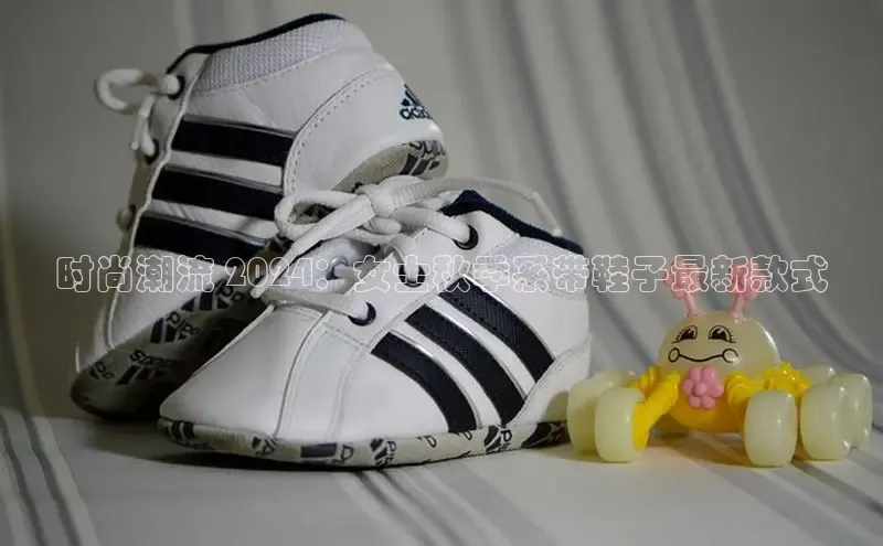 球速体育中文在线时尚潮流 2024：女士秋季系带鞋子最新款式