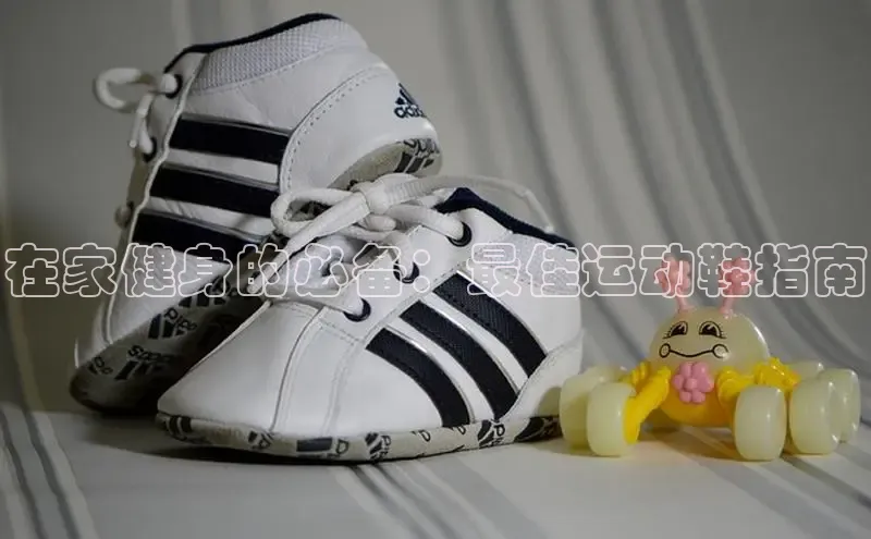 球速体育网页版登陆入口百度移动开放平台在家健身的必备：最佳运动鞋指南