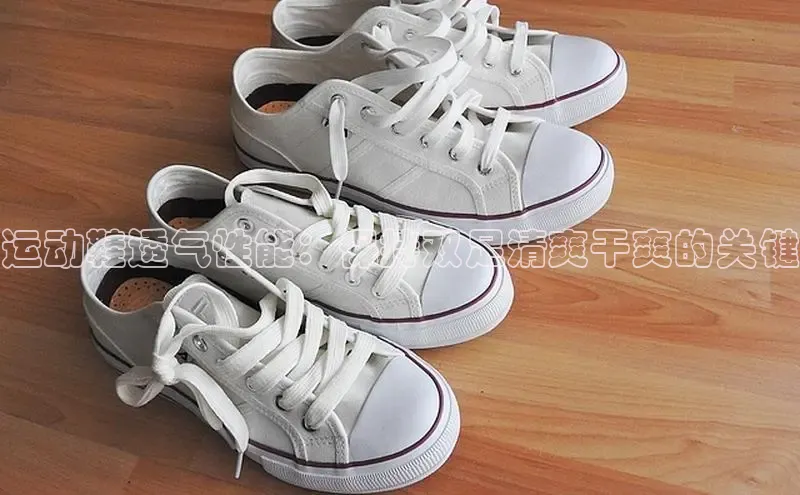 球速体育登录入口猫眼运动鞋透气性能：保持双足清爽干爽的关键