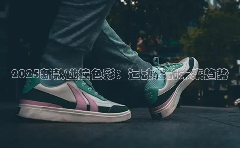 球速体育app登录入口