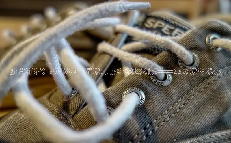 时尚前沿：2025年度最热女款骆驼运动鞋——全网热销爆款