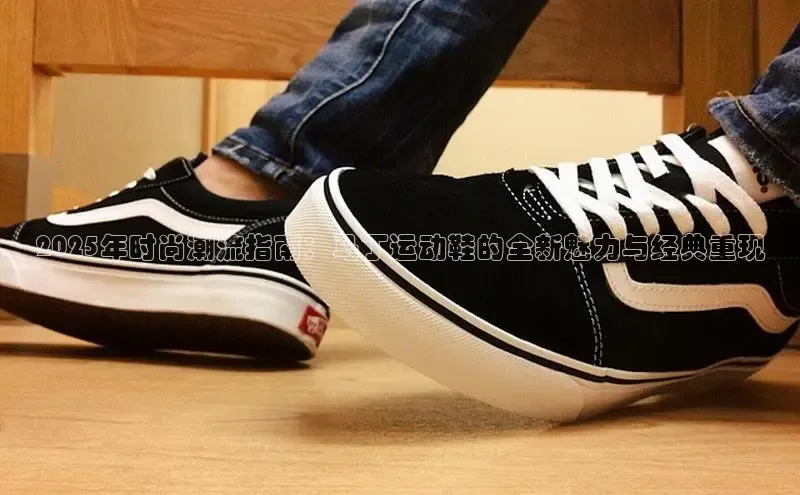 球速体育网页版登录入口