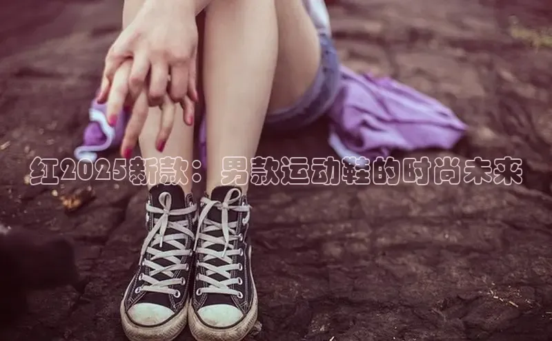 球速体育app登录入口
